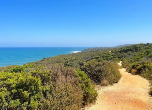 Best Starting Point for Your Great Ocean Road Trip
