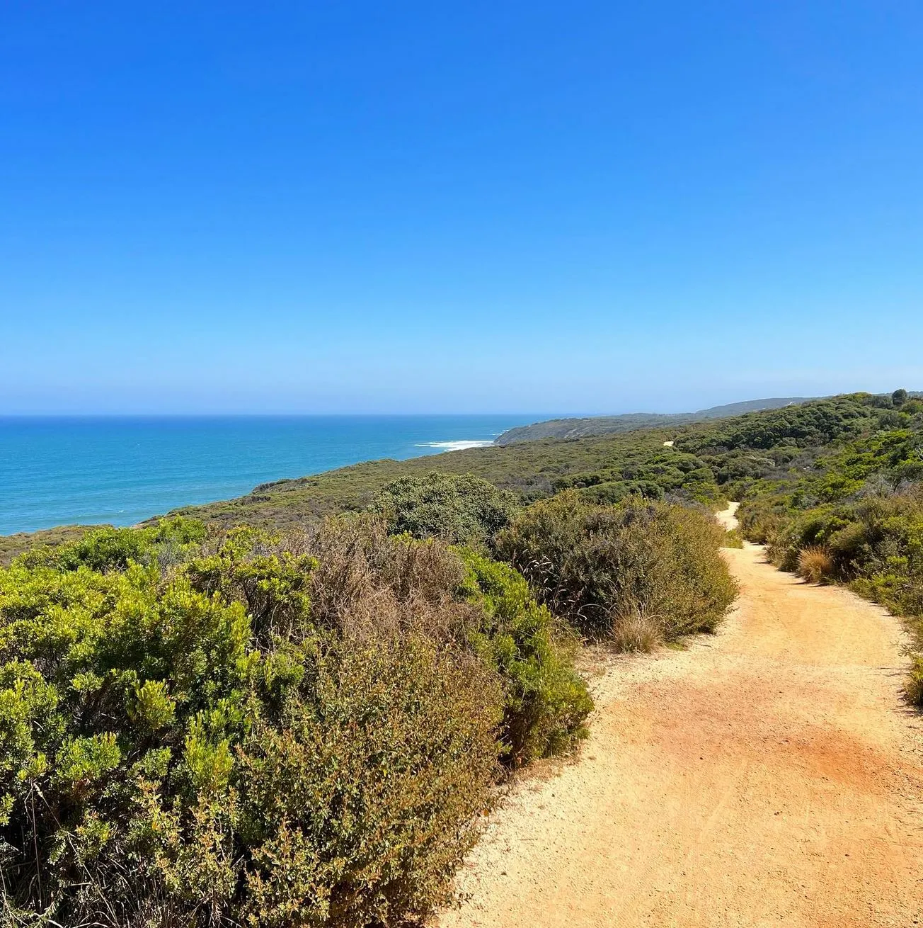 Best Starting Point for Your Great Ocean Road Trip