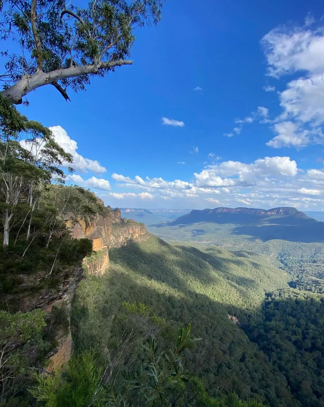 Blue Mountains tours