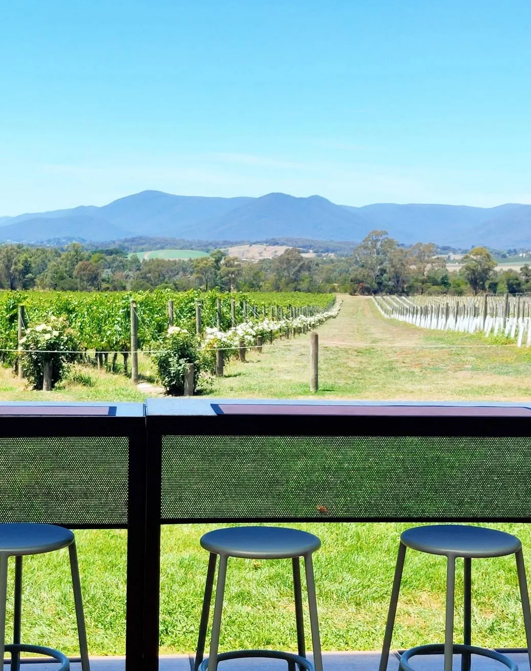 Cult Wines, Yarra Valley