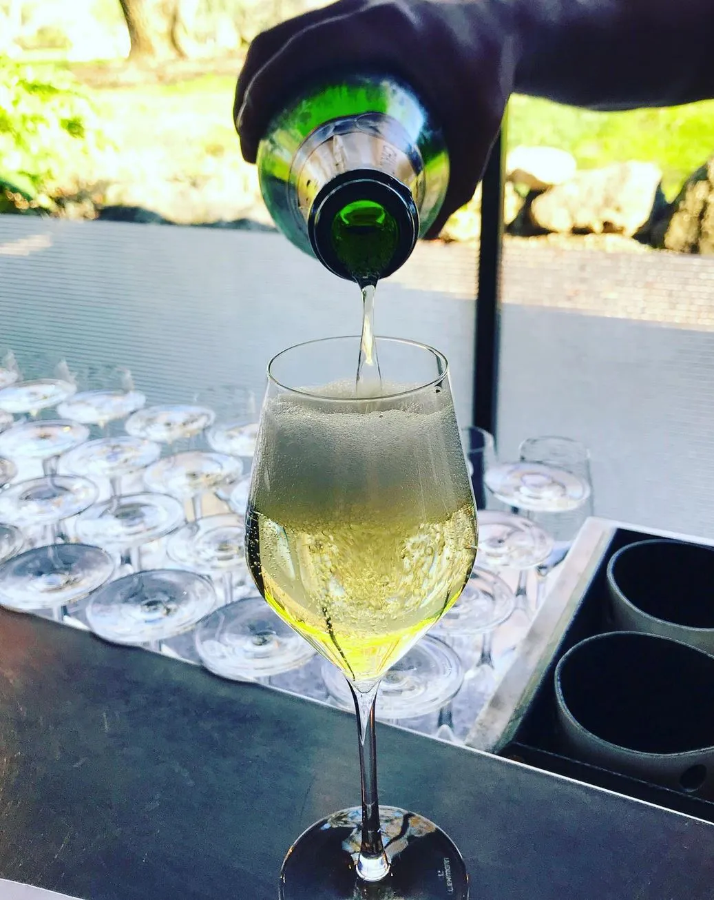Tasting Notes, Yarra Valley