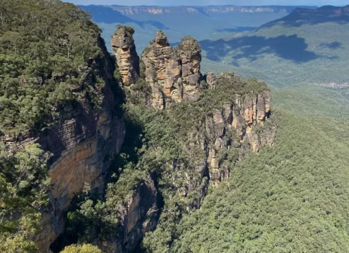 What Flora Is Unique to the Blue Mountains
