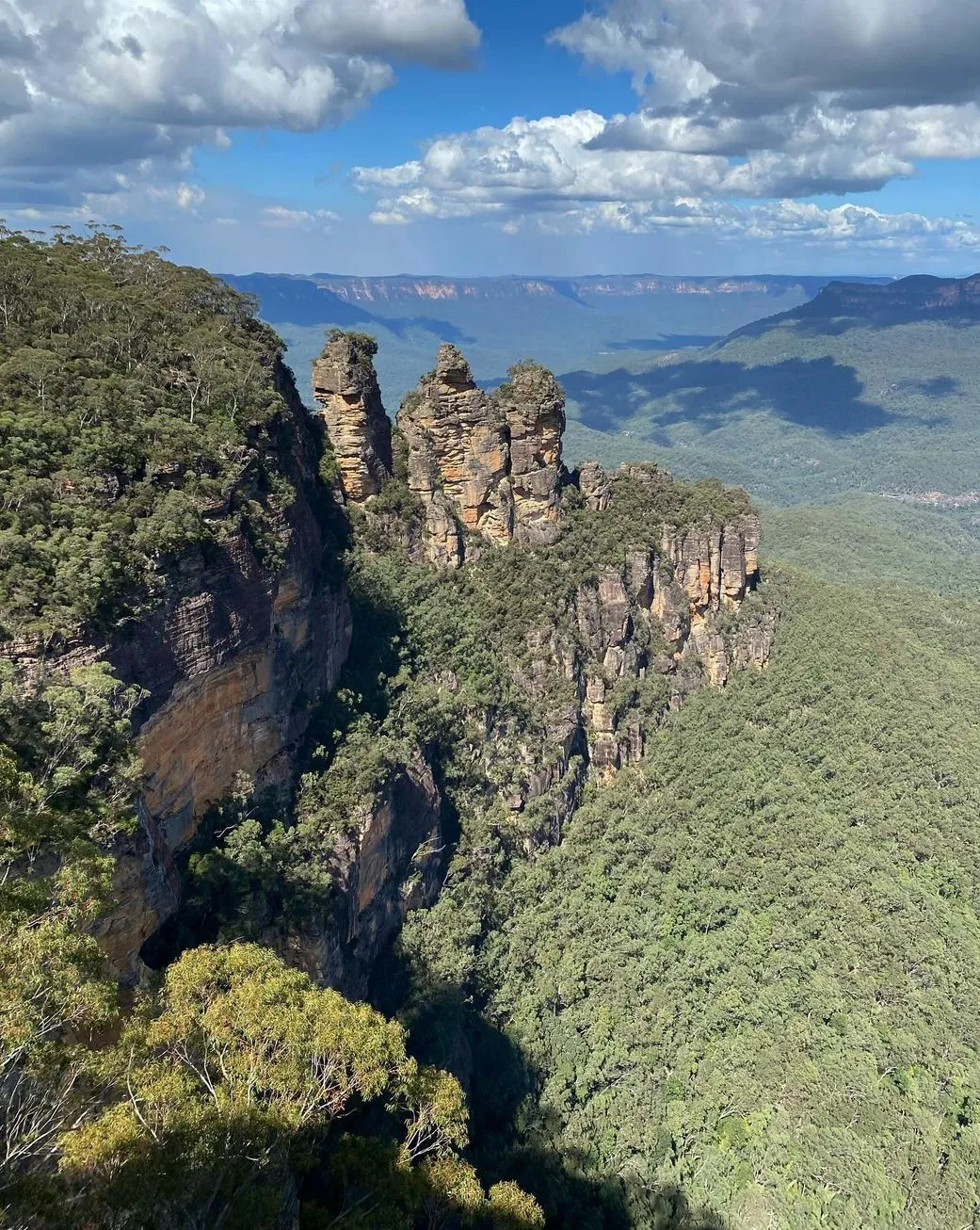 What Flora Is Unique to the Blue Mountains?