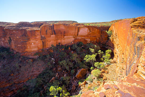 Journey from Uluru to Kings Canyon: Experience the Spectacular Scenery