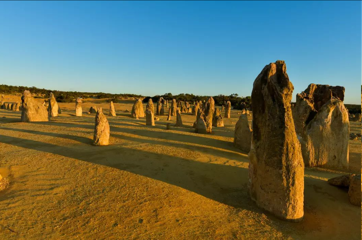 Discover the Hidden Treasures of Perth with Pinnacle Tours