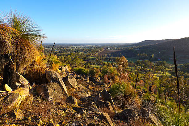 Pop Collecting | Exploring Perth Hills: Nature, Culture, and Culinary Delights